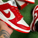 Dunk Low red